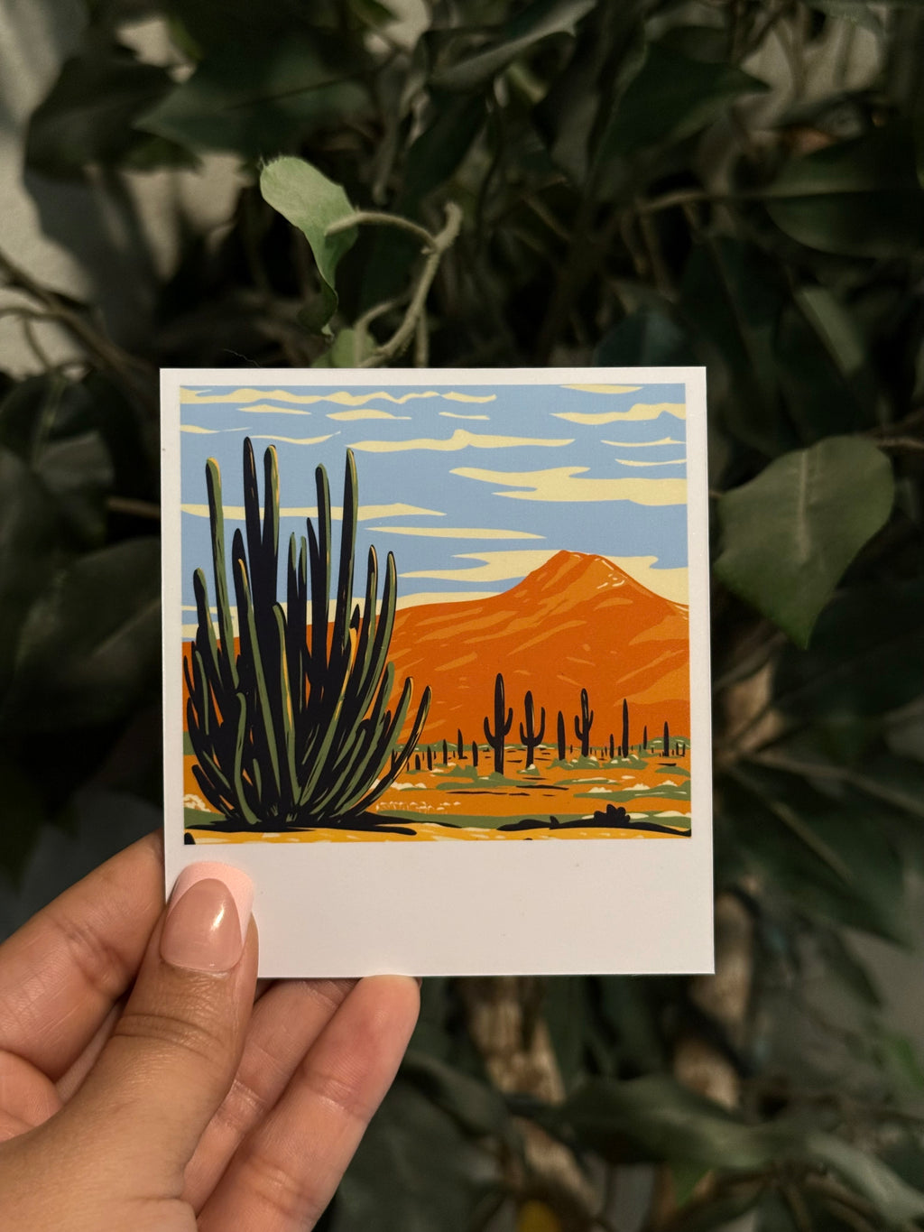 Hand holding a classic sized custom photo magnet a desert landscape illustration featuring cacti